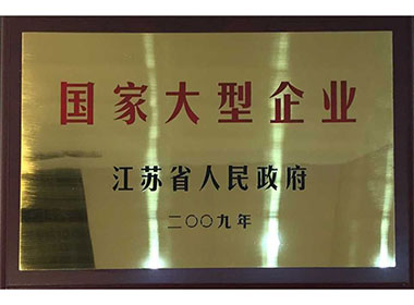 國家大型企業